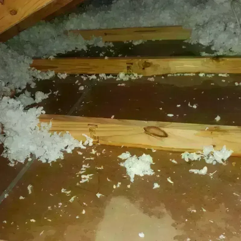 Attic Water Damage in Mount Jackson, VA